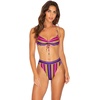 image:imageParty Animal  Bandeau Top